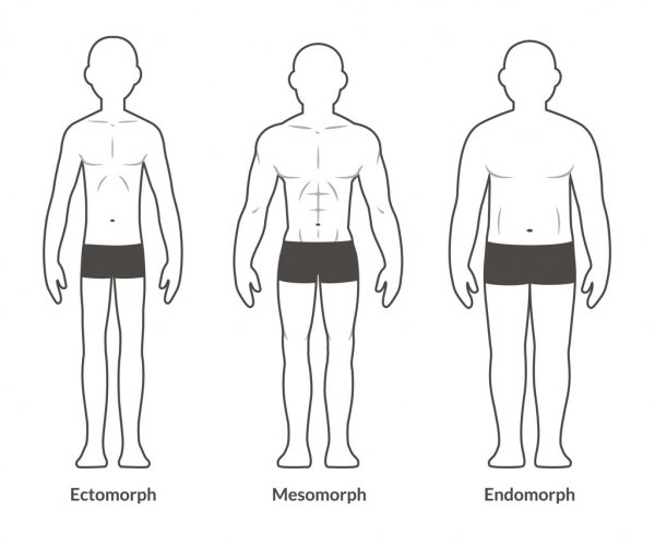 Different body type