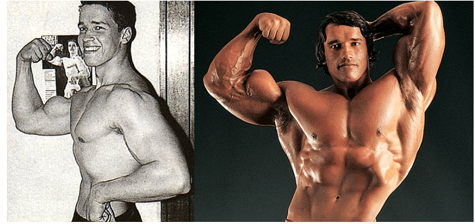 Arnold Schwarzenegger Steroids Cycle