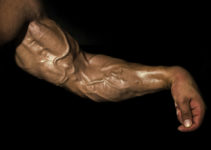 How To Get More Vascular