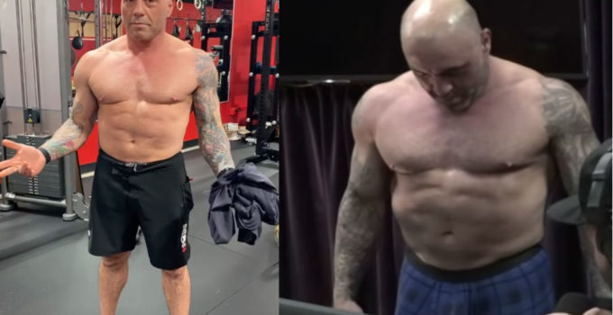 joe Rogan transformation