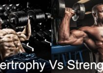 Hypertrophy Vs Strength Training