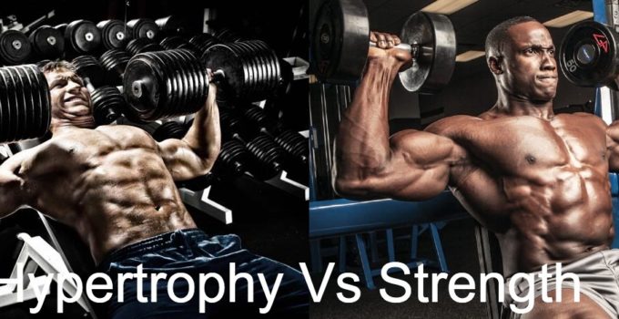 Hypertrophy Vs Strength Training