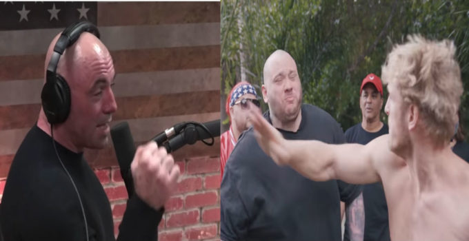 Joe Rogan Logan Paul slap