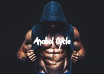What Is Anabol Cycle