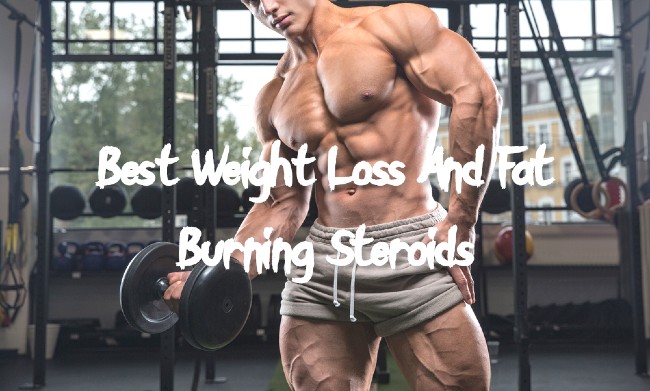 Best Weight Loss/Fat Burning Steroids