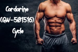 What Is Cardarine (GW-501516) – Cycle, Dosage, And Side Effects