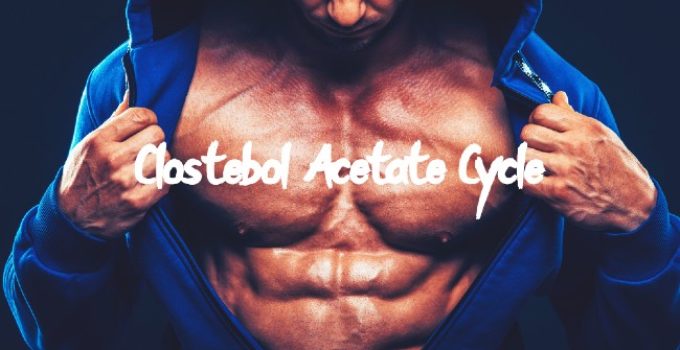 Clostebol Acetate (Megagrisevit Mono) - Cycle, Side Effects, And Dosage