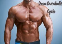 Deca Durabolin Cycle - Effects And Dosage
