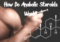 How Do Anabolic Steroids Work