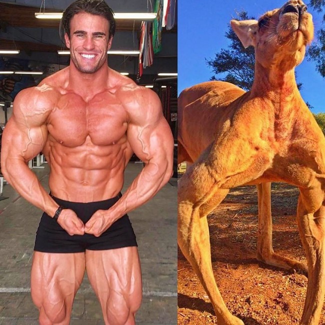 Is Calum Von Moger Taking Steroids or is He Natural