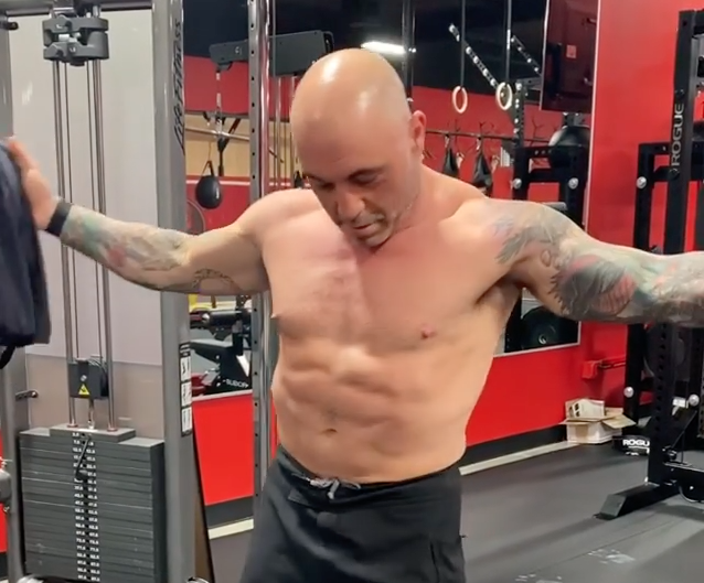 Joe Rogan home workout