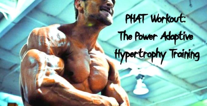PHAT Workout: The Power Adaptive Hypertrophy Training
