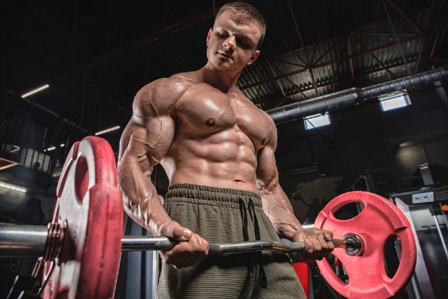 Best Steroid Cycles