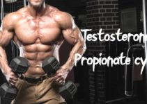 Testosterone Propionate cycle
