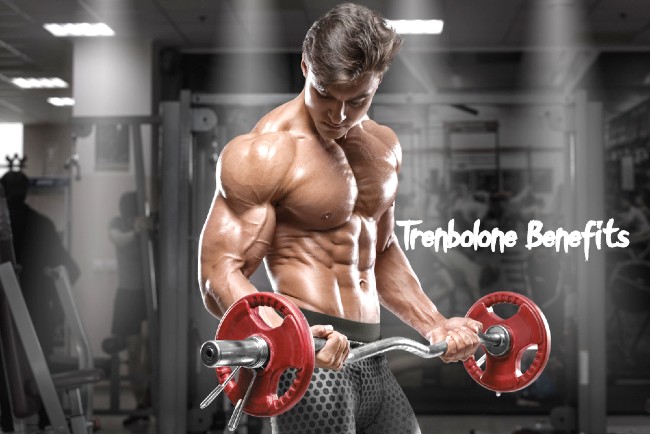 What is Trenbolone Cycle, Effects and Dosage
