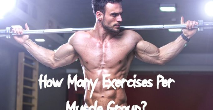 How Many Exercises Per Muscle Group